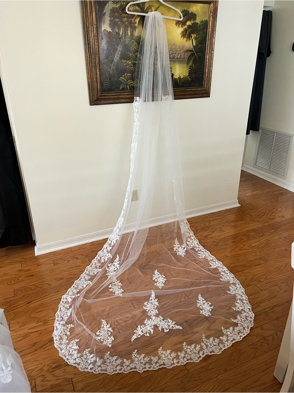 Delicate White Lace Edge Bridal Veil